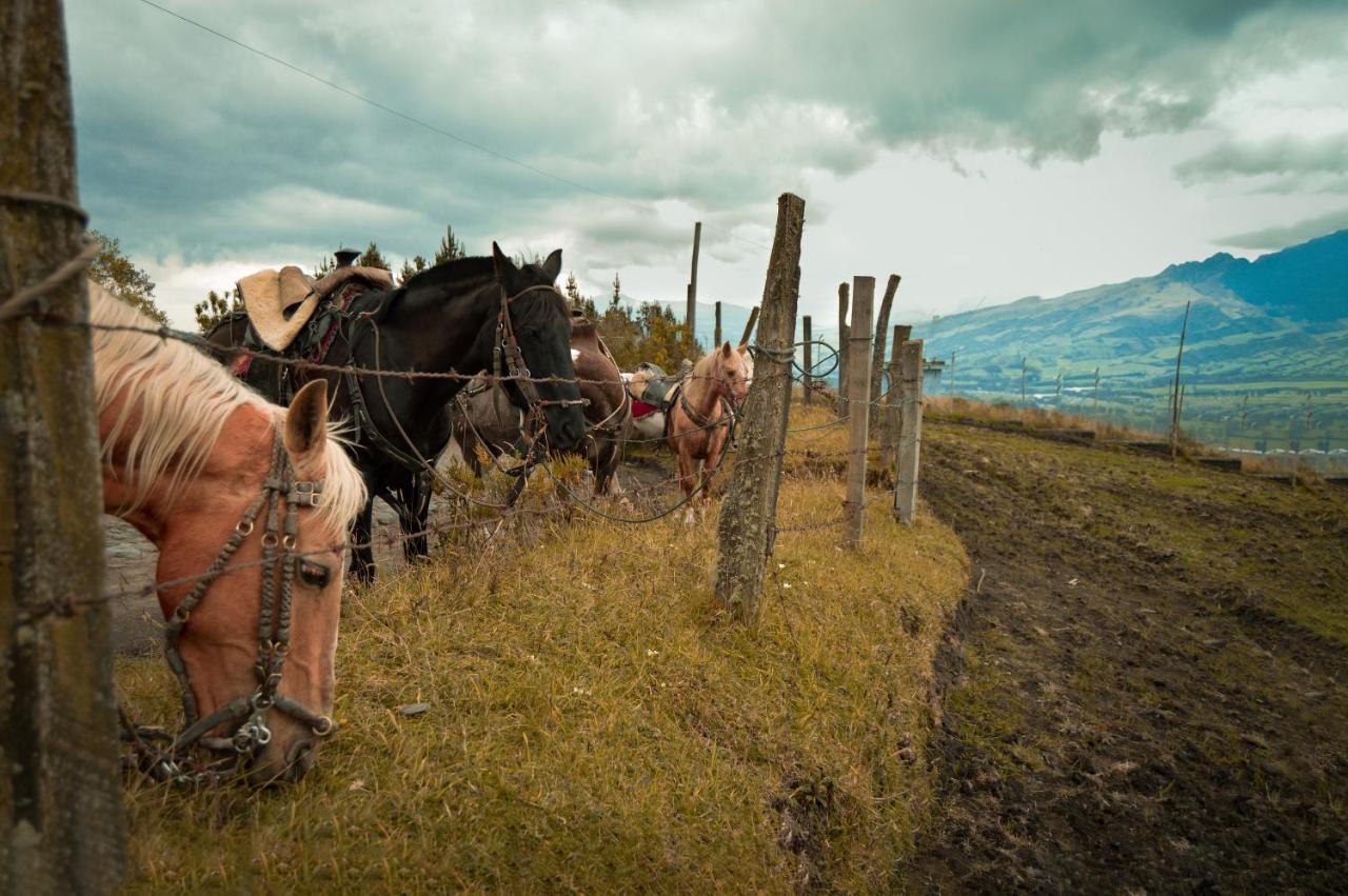 Chuquiragua Lodge & Spa Мачачи Экстерьер фото